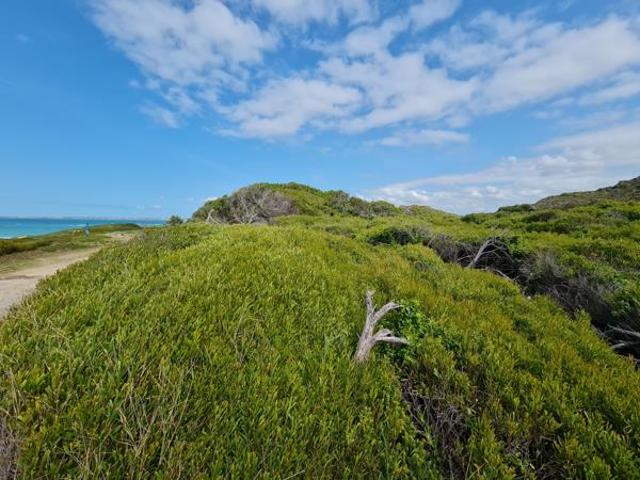 Land for sale in Cape St Francis, Eastern Cape