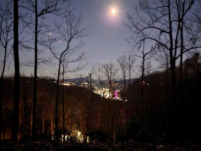 Land for sale in Tennessee