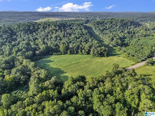 Land for sale in Warrior, Alabama