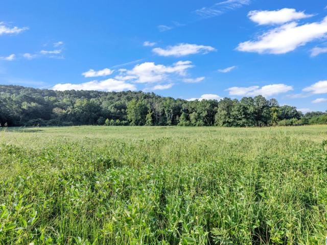 Land for sale in Warrior, Alabama