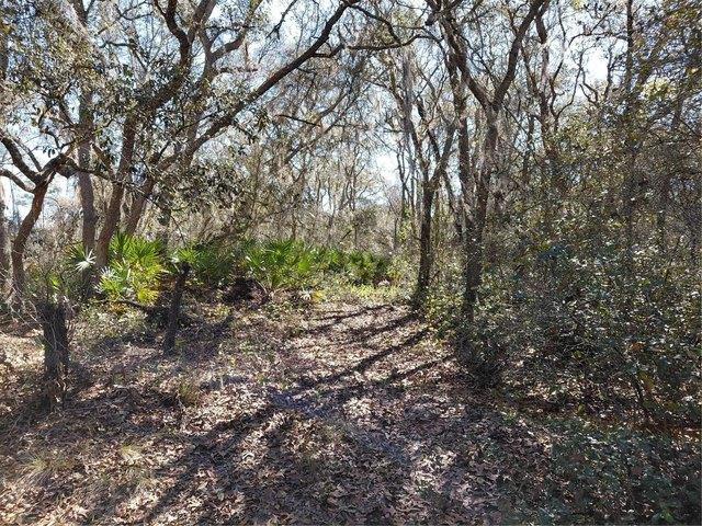 Land for sale in Webster, Florida