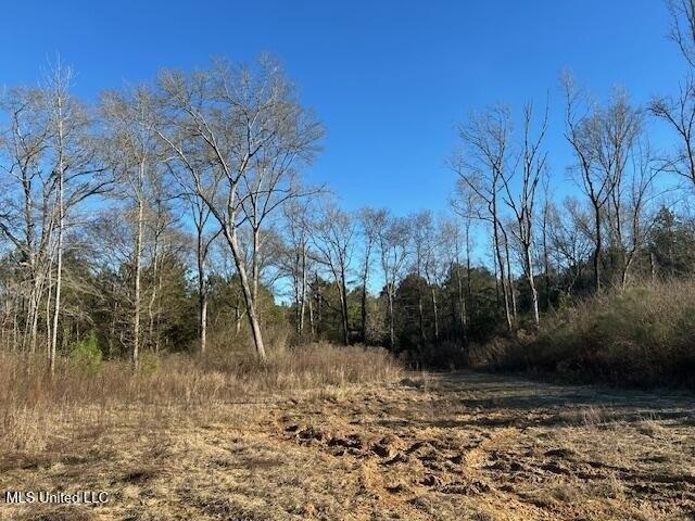 Land for sale in Mccomb, Mississippi