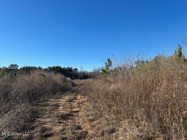 Land for sale in Mccomb, Mississippi