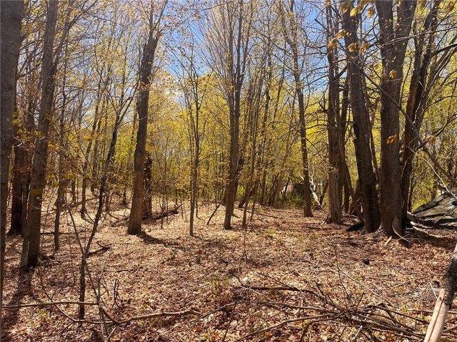 Land for sale in Frederic, Wisconsin
