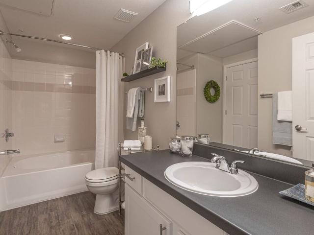 Apartment for rent in Avondale, Arizona