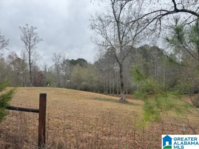 Land for sale in Adger, Alabama