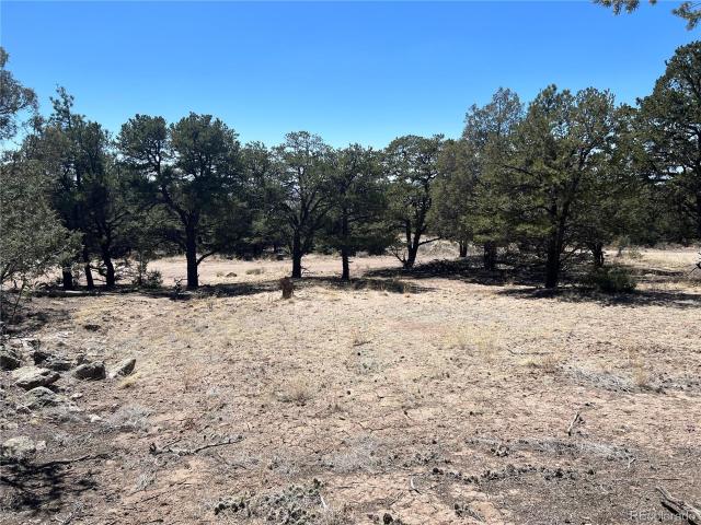 Land for sale in Crestone
