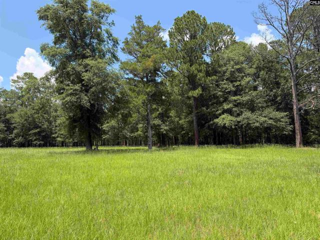 Land for sale in Blythewood, South Carolina