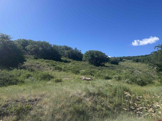 Land for sale in Montrose, Colorado