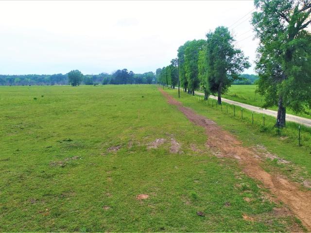 Land for sale in Crockett, Houston County