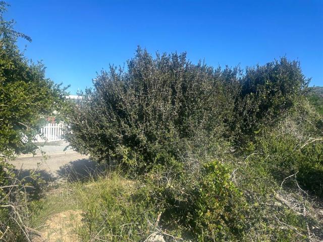Land for sale in Cape St Francis, Eastern Cape