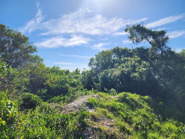 Land for sale in Cape St Francis, Eastern Cape