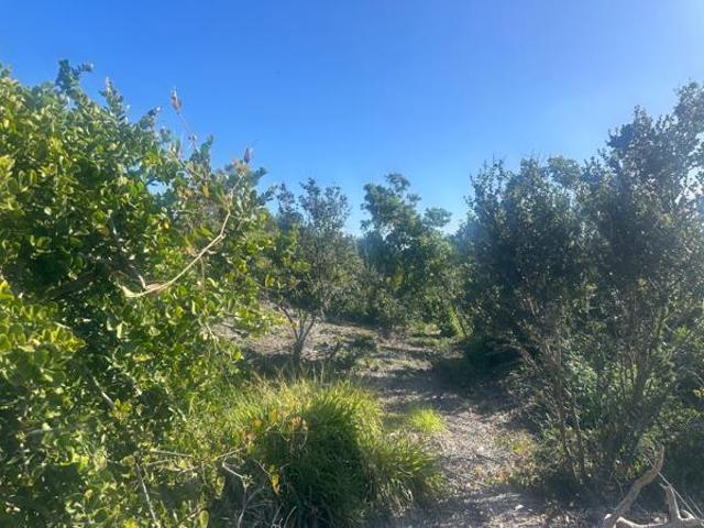 Land for sale in Cape St Francis, Eastern Cape