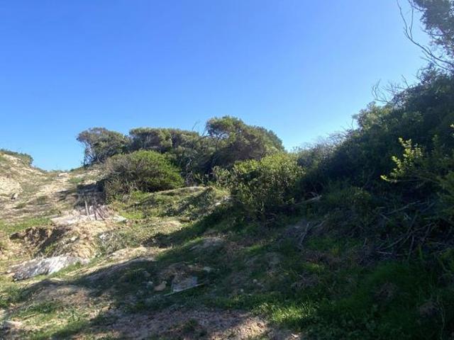 Land for sale in Cape St Francis, Eastern Cape