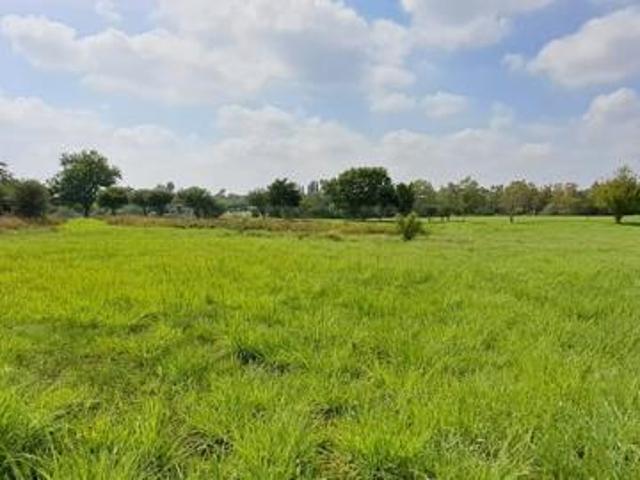 Land for sale in Koppies, Free State