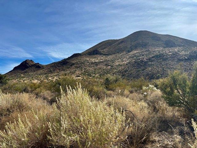 Farm for sale in Brewster, Texas