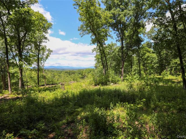Land for sale in Connelly, New York