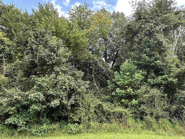 Land for sale in Spencer, Indiana
