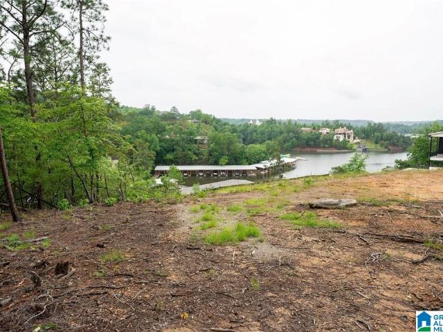 Land for sale in Tuscaloosa