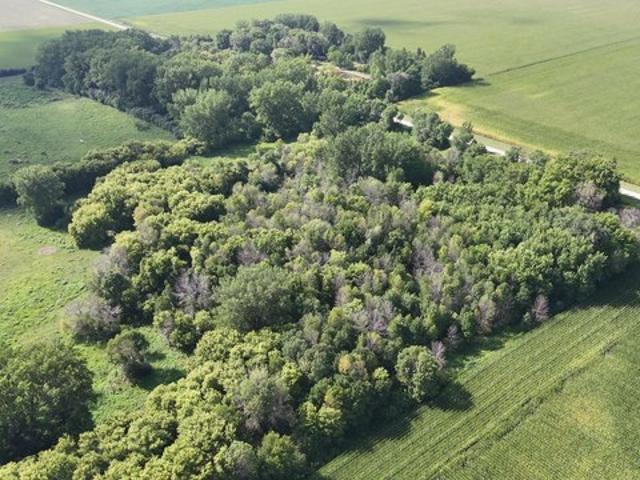 Land for sale in Hollandale, Minnesota