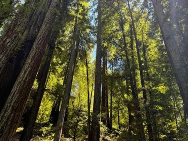 Land for sale in Healdsburg, Sonoma County
