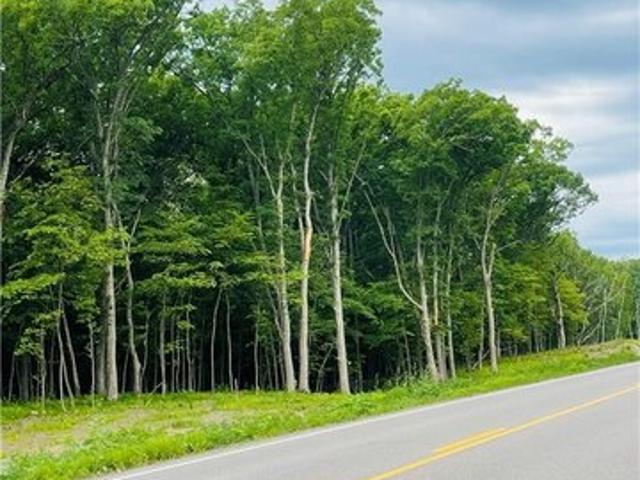 Land for sale in Ramsey, Minnesota