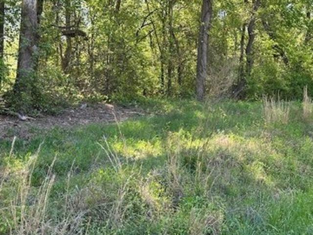 Land for sale in Georgia