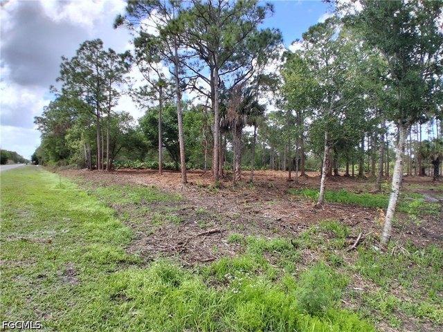 Land for sale in Clewiston, Florida