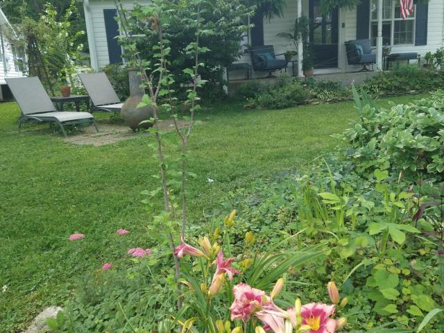 House for sale in Ava, Missouri
