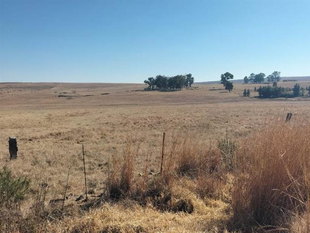 Farm for sale in Rosendal, Free State