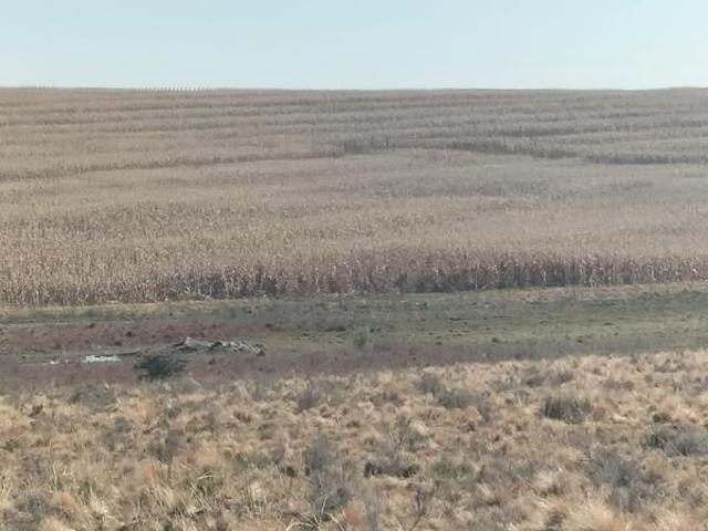 Farm for sale in Rosendal, Free State