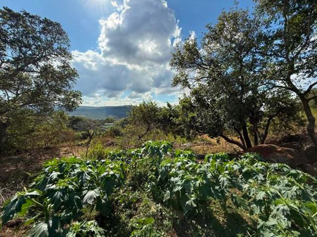 Land for sale in Ehlanzeni, Mpumalanga