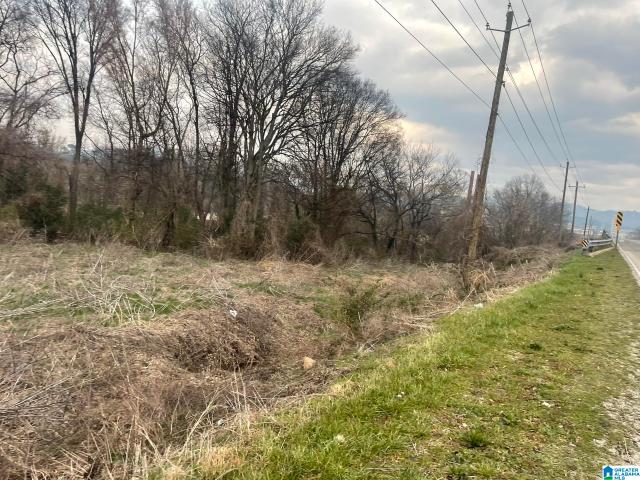 Land for sale in Anniston, Alabama