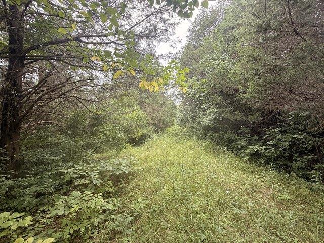 Land for sale in Williamstown, Kentucky