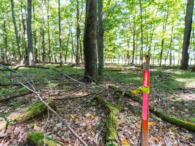 Land for sale in Menomonie, Dunn County