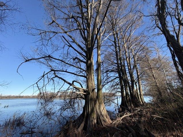 Land for sale in Ark