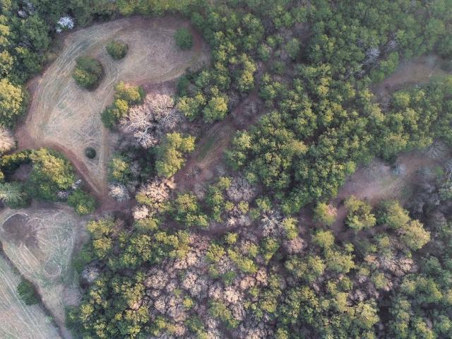 Land for sale in Bethlehem, Georgia