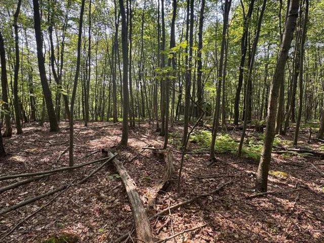Land for sale in Pennsylvania