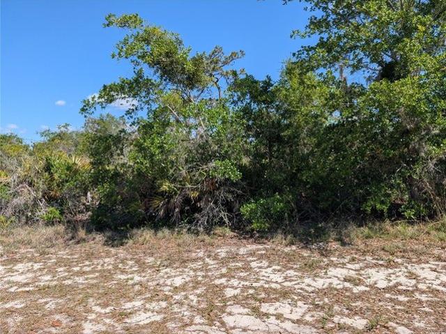 Land for sale in Indian Lake Estates, Polk County