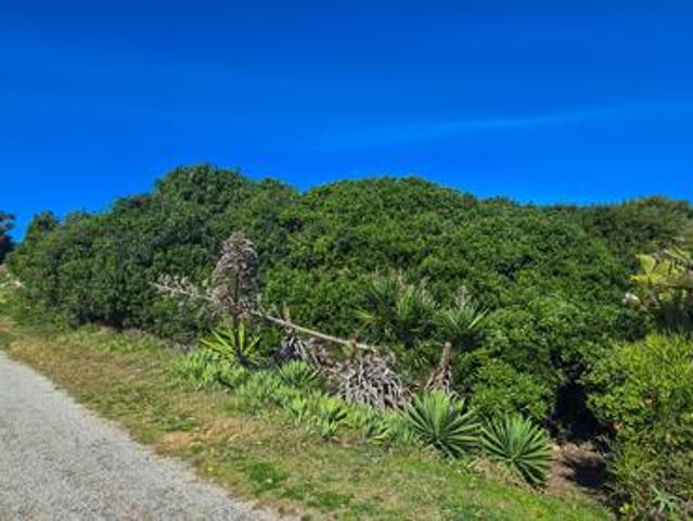 Land for sale in Cape St Francis, Eastern Cape