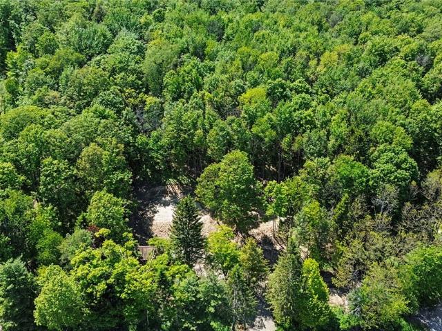 House for sale in Colden, New York