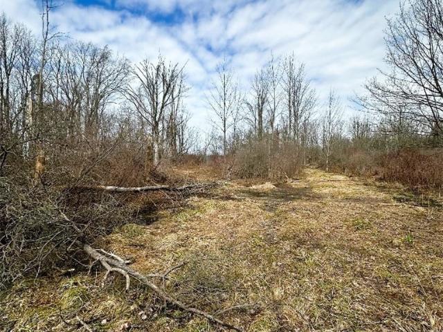 Land for sale in Cassadaga, New York