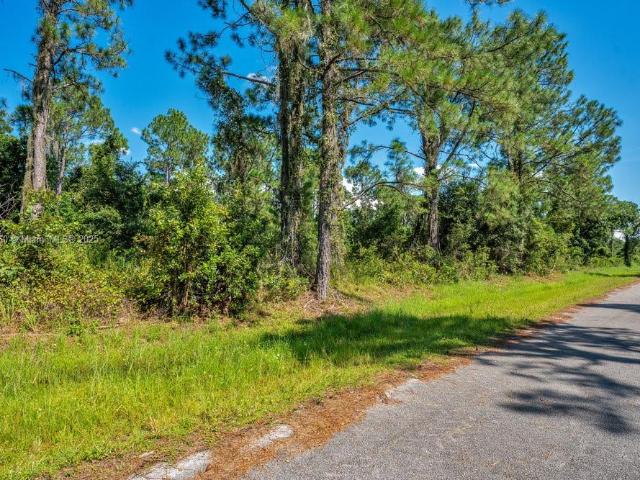 Land for sale in Sebring, Florida