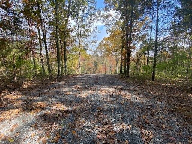 Farm for sale in Brooksville, Bracken County