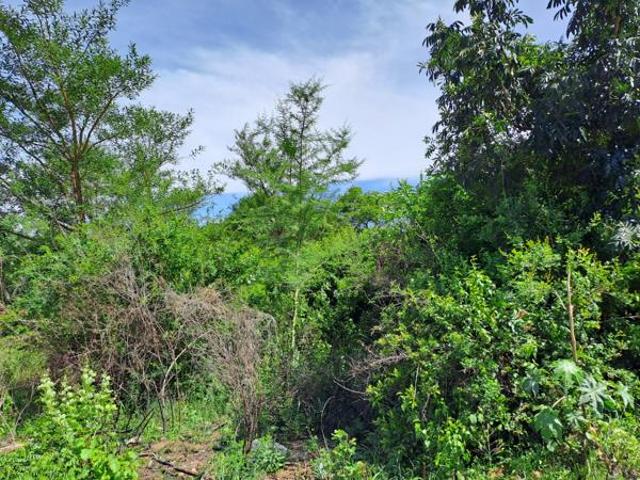 Land for sale in Ehlanzeni, Mpumalanga