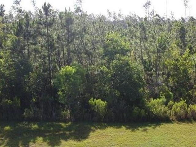 Land for sale in Gulf, Florida