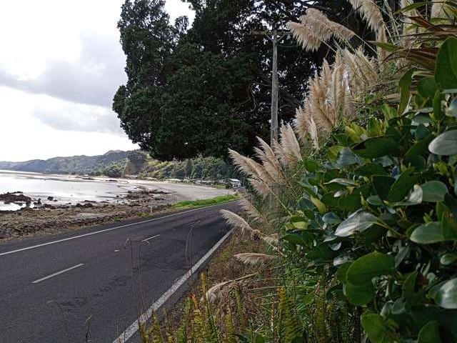 Property for sale in Te Mata, Waikato