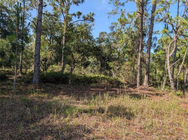 Land for sale in Indian Lake Estates, Florida