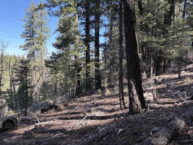 Land for sale in Cloudcroft, New Mexico