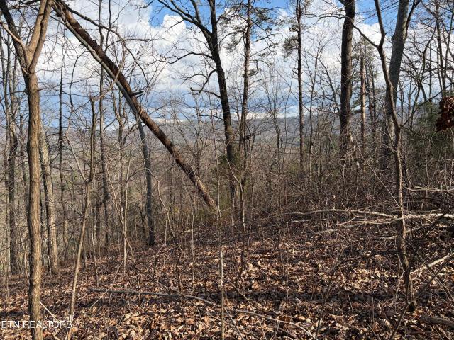 Land for sale in Tennessee